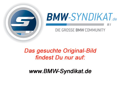 fuerbmwsite02.jpg